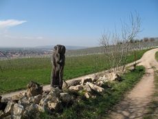 Weil am Rhein Weiler Weinweg 019.jpg